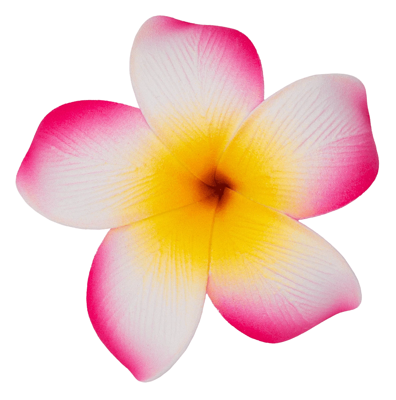 Single Plumeria Clip: Pink