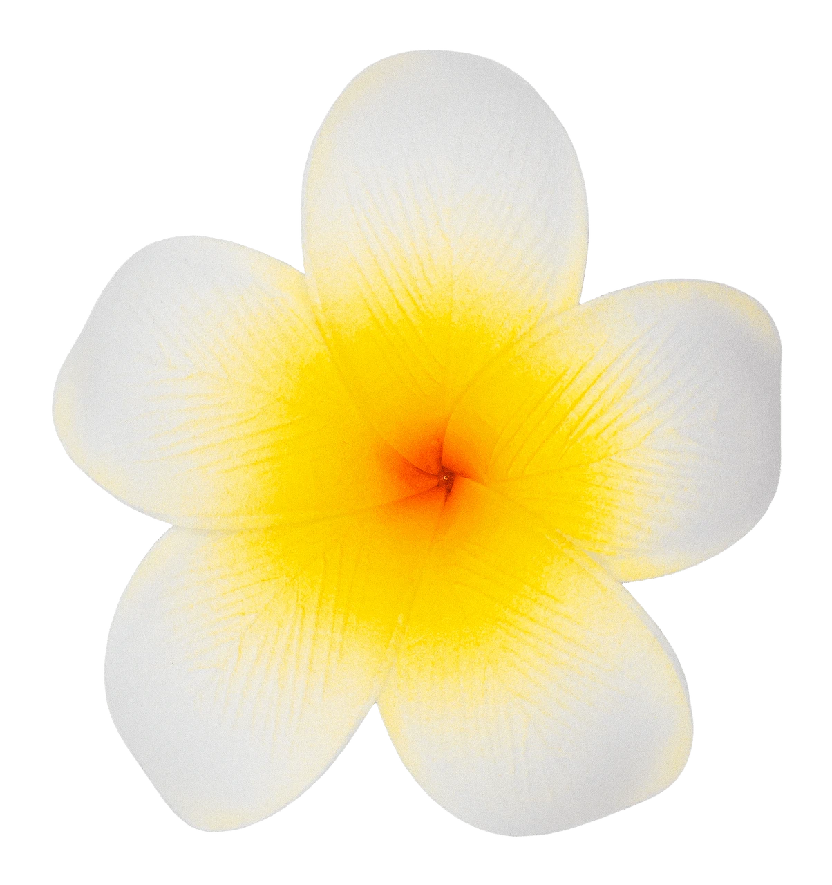 Single Plumeria Clip: White