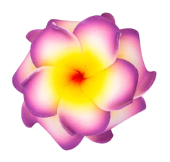 Small Double Plumeria Clip: Purple