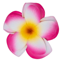 Large Double Plumeria Clip: Pink