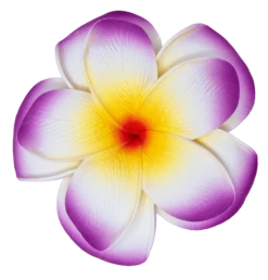 Large Double Plumeria Clip: Purple
