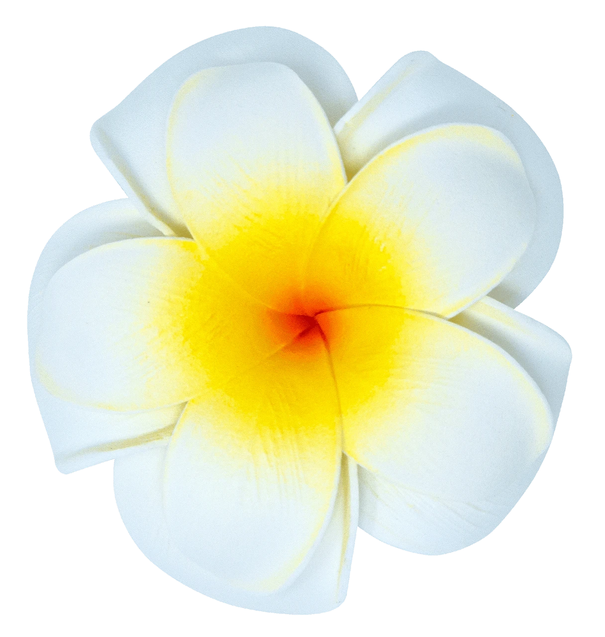 Large Double Plumeria Clip: White